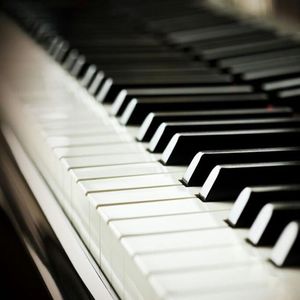 欧美精品免费一级不卡视频
