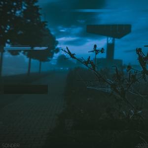 欧美精品免费一级不卡视频
