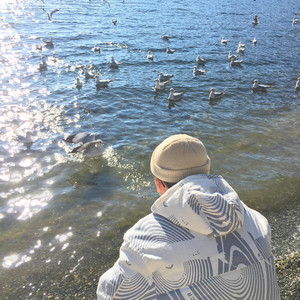 欧美精品免费一级不卡视频
