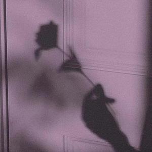 欧美精品免费一级不卡视频
