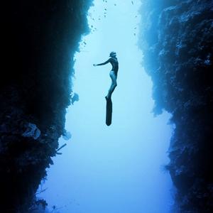 欧美精品免费一级不卡视频
