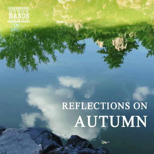 欧美精品免费一级不卡视频
